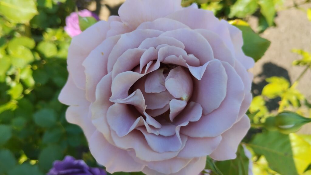 IMG_20250719_140505 Img 20250719 140505