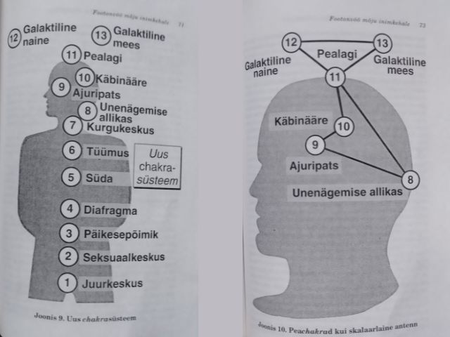 Kaks skeemi 13-tšakra süsteemist: keha siluett numbrite ja nimetustega ning peatsakrate ühendusjooned kui „antenn“